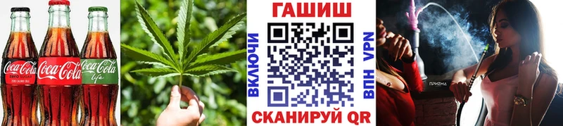 как найти закладки  мориарти клад  Cannafood марихуана  Александров 